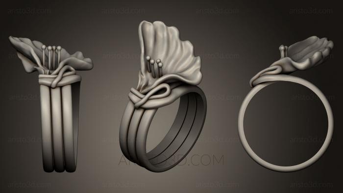 Jewelry rings (JVLRP_0218) 3D model for CNC machine